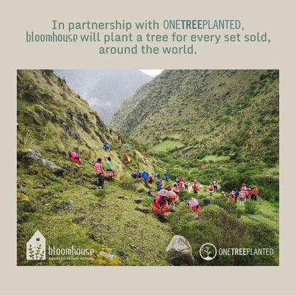 Bloomhouse Palermo Sun Service de table 16 pièces en grès émaillé réactif avec assiettes et bols doubles