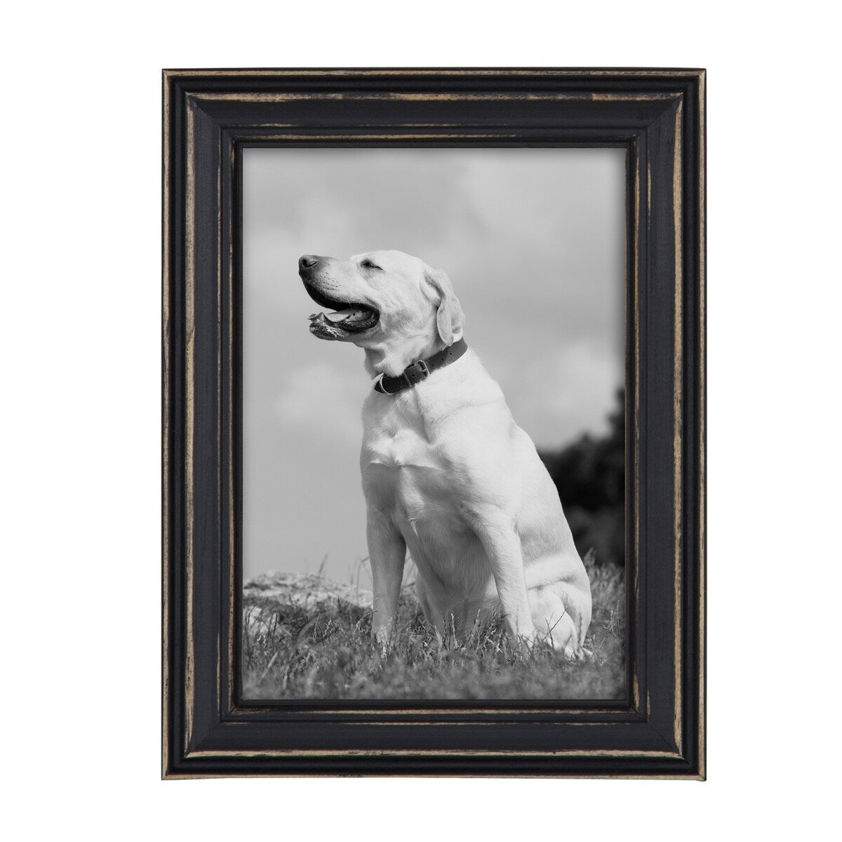 Ensemble de 10 cadres photo muraux en bois Kate et Laurel Bordeaux