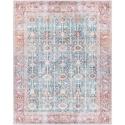 Tapis Domitian traditionnel vintage lavable en machine, tissé artistiquement