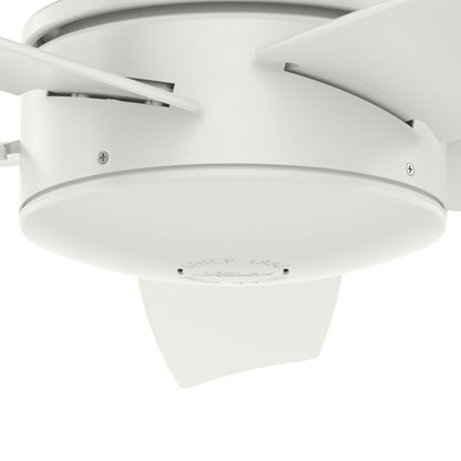 Ventilateur de plafond intérieur/extérieur Hunter 52 Shorebreak WeatherMax avec commande murale - Résistant aux intempéries, au sel et à la corrosion