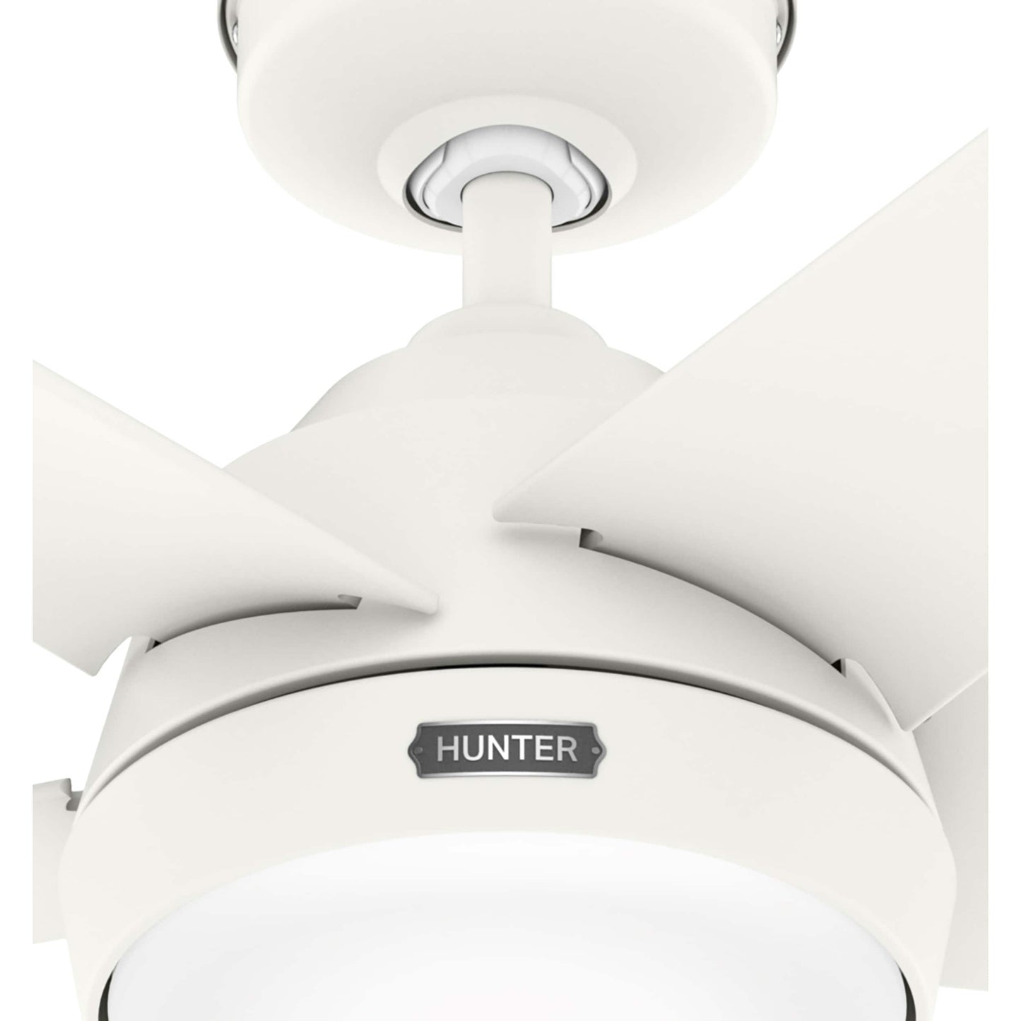 Ventilateur de plafond extérieur Hunter 52 Skyflow avec kit d'éclairage LED, commande murale - Côtier moderne contemporain - WeatherMax - CLASSÉ HUMIDE !