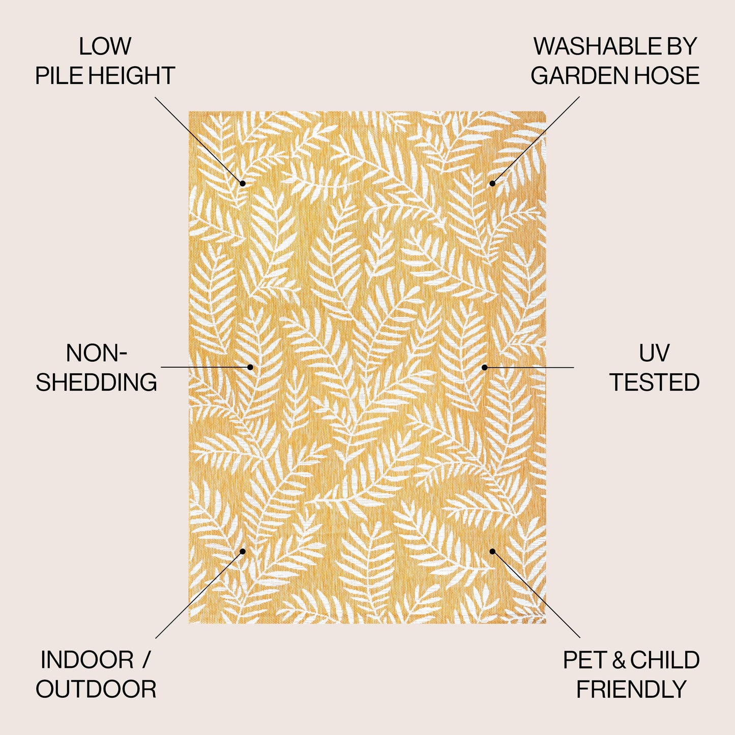 JONATHAN Y Tapis intérieur/extérieur à fronde de palmier Galon