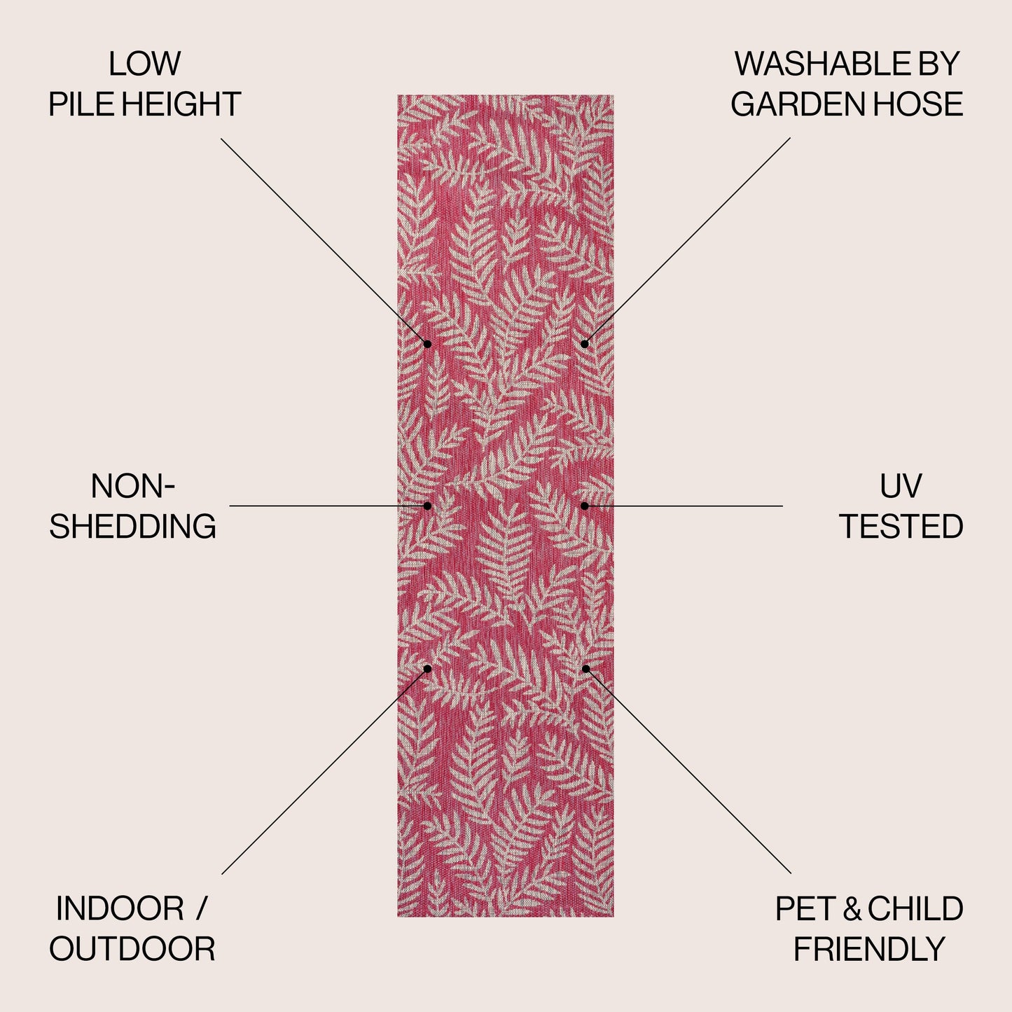 JONATHAN Y Tapis intérieur/extérieur à fronde de palmier Galon