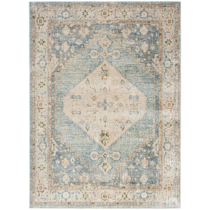 Tapis persan vieilli Nourison Abby, lavable en machine, pour intérieur uniquement.