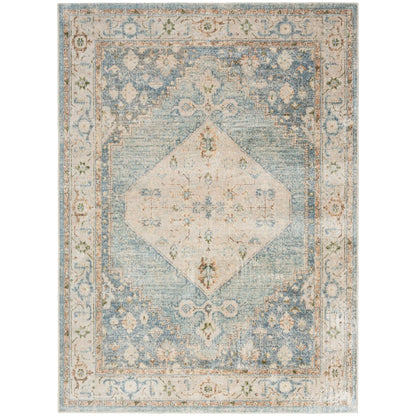 Tapis persan vieilli Nourison Abby, lavable en machine, pour intérieur uniquement.