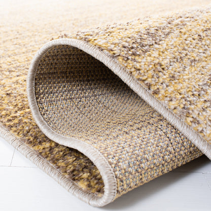 SAFAVIEH Tapis Adirondack Muzeyyen Ombre vieilli