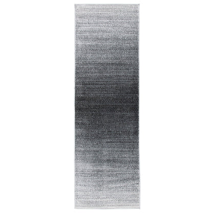 SAFAVIEH Tapis Adirondack Muzeyyen Ombre vieilli