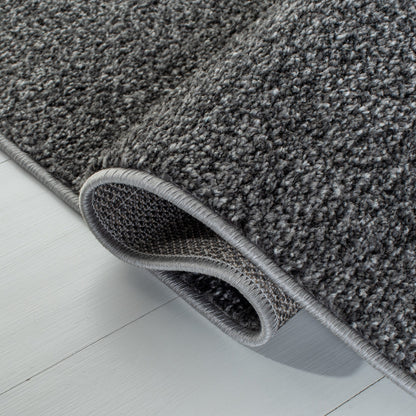 SAFAVIEH Tapis Adirondack Muzeyyen Ombre vieilli