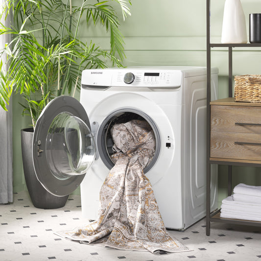 SAFAVIEH Arizona Chantalle Lavable en machine Antidérapant Vintage Oriental