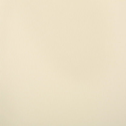 Ensemble de coussins d'extérieur Salem pour chaise longue - Coussins uniquement (lot de 2) par Christopher Knight Home - 79,25 L x 27,50 l x 1,50 H