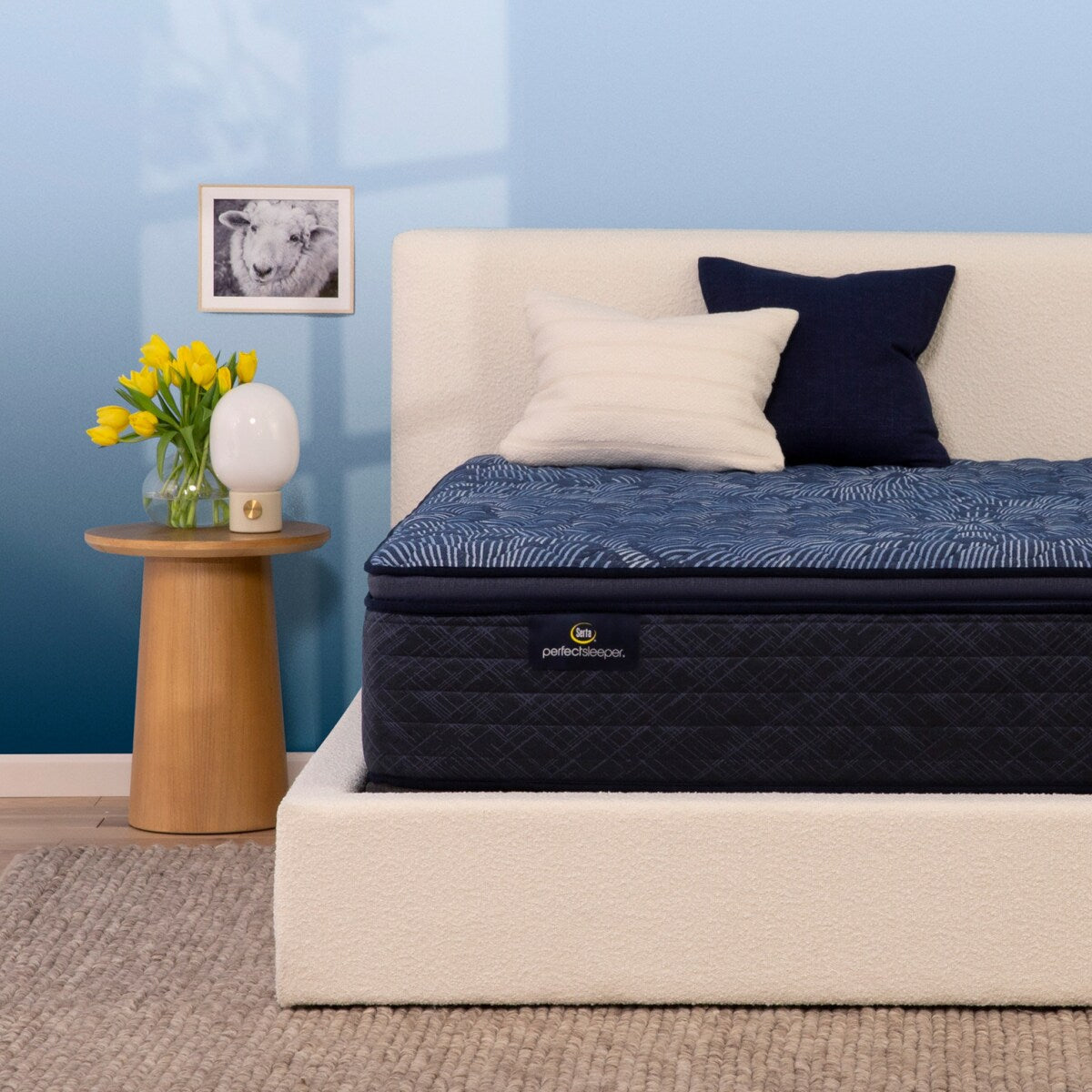 Ensemble de matelas Serta Perfect Sleeper Oasis Sleep 14,5 ferme avec plateau-coussin
