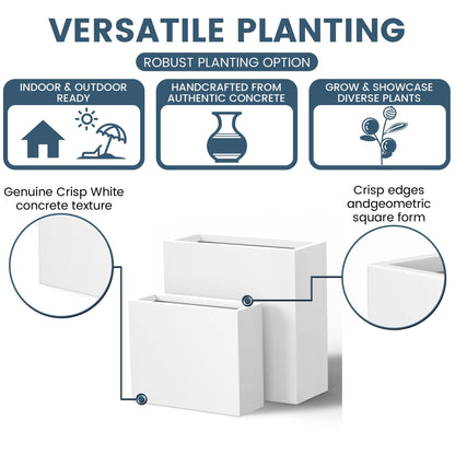 Jardinières rectangulaires en béton de grande taille / Grandes jardinières d'intérieur et d'extérieur