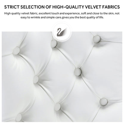 Lot de 6 chaises de salle à manger capitonnées en velours avec pieds en bois massif