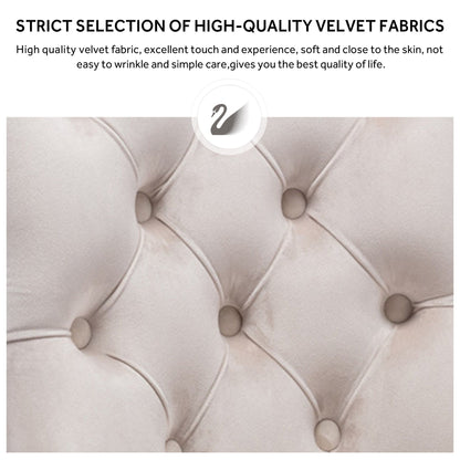 Lot de 6 chaises de salle à manger capitonnées en velours avec pieds en bois massif