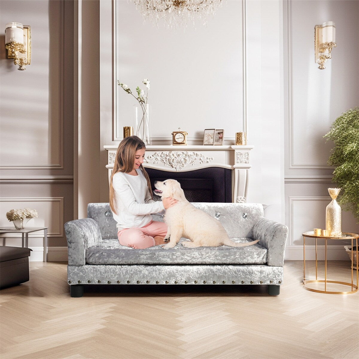 Lit pour animal de compagnie en velours capitonné avec coussin amovible