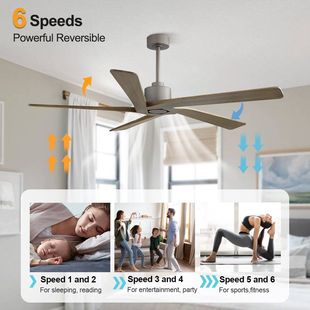 Ventilateur de plafond d'intérieur WINGBO 54 pouces avec moteur à courant continu sans éclairage - N/A